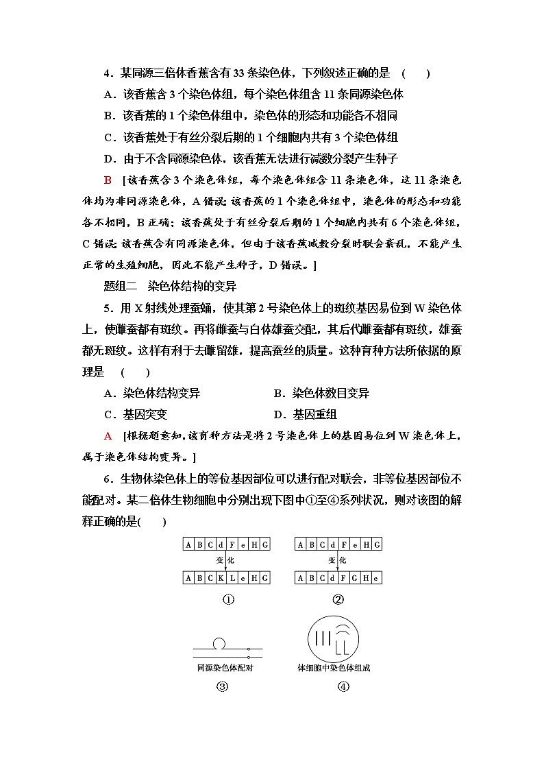 2021-2022学年高中生物新人教版必修第二册 5.2 染色体变异 作业 练习02