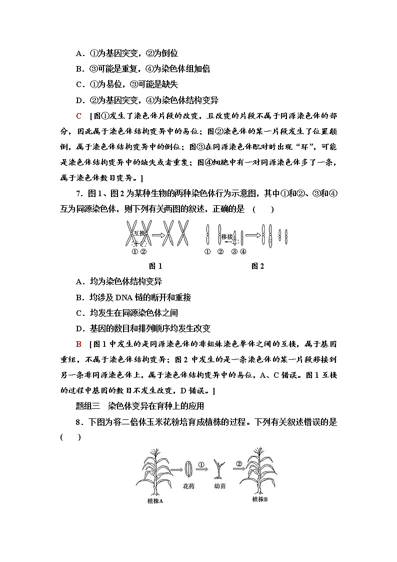 2021-2022学年高中生物新人教版必修第二册 5.2 染色体变异 作业 练习03