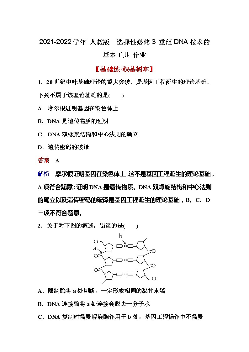 2021-2022学年高中生物新人教版选择性必修3 重组DNA技术的基本工具 作业 练习01