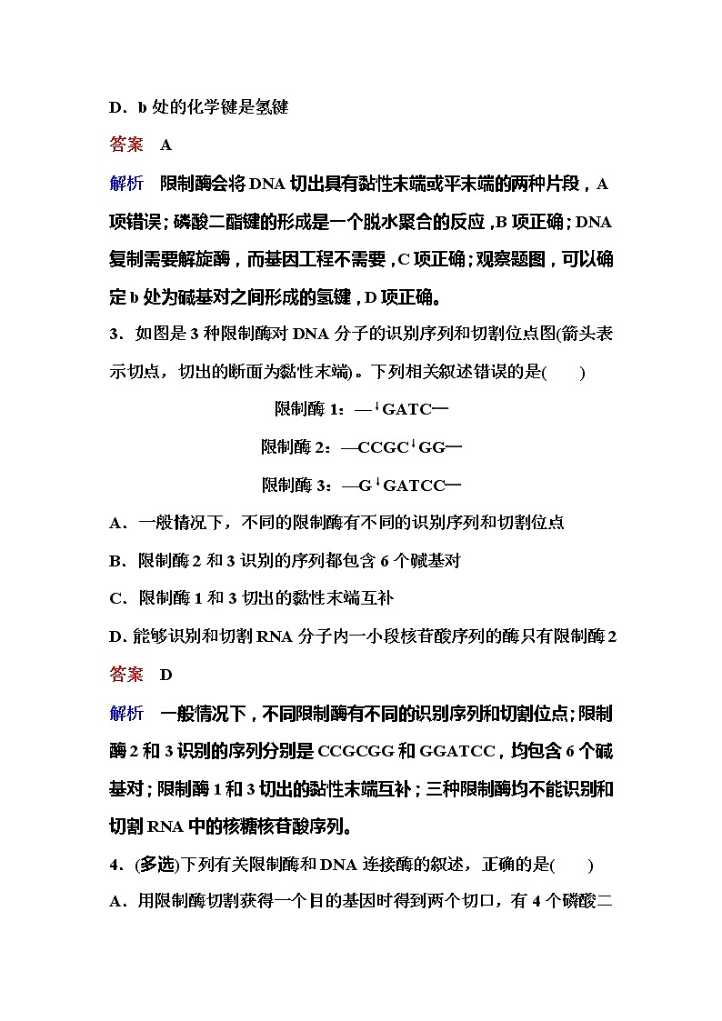 2021-2022学年高中生物新人教版选择性必修3 重组DNA技术的基本工具 作业 练习02