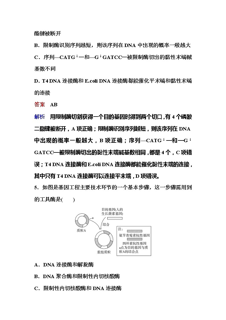 2021-2022学年高中生物新人教版选择性必修3 重组DNA技术的基本工具 作业 练习03