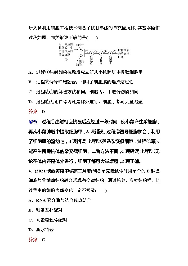 2021-2022学年高中生物新人教版选择性必修3 动物细胞融合技术与单克隆抗体 作业 练习02