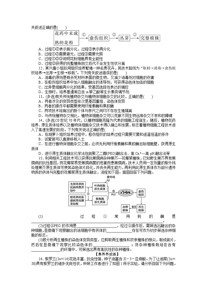 2021-2022学年高中生物新人教版选择性必修3 2.1.1 植物细胞工程的基本技术 作业第3页