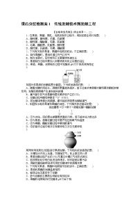 生物选择性必修3第1节 重组DNA技术的基本工具课后作业题