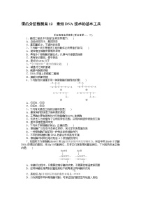 高中生物人教版 (2019)选择性必修3第1节 重组DNA技术的基本工具综合训练题