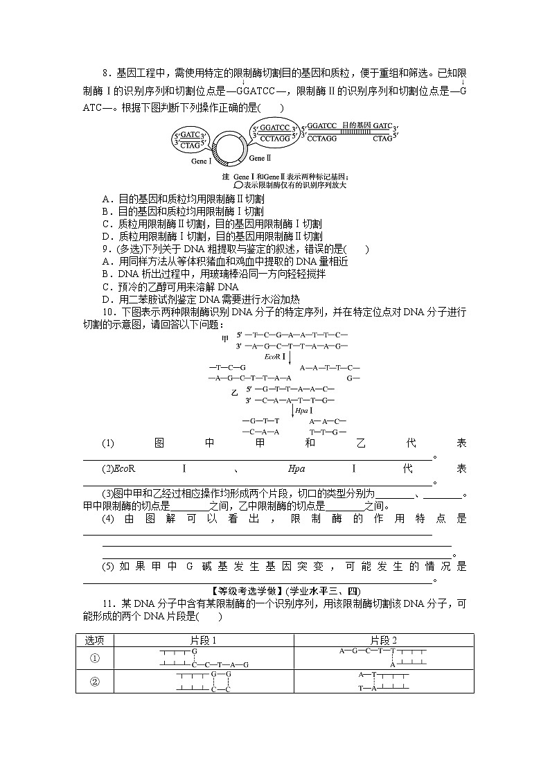 2021-2022学年高中生物新人教版选择性必修3 3.1 重组DNA技术的基本工具 作业第2页