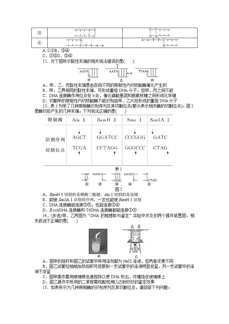 2021-2022学年高中生物新人教版选择性必修3 3.1 重组DNA技术的基本工具 作业第3页