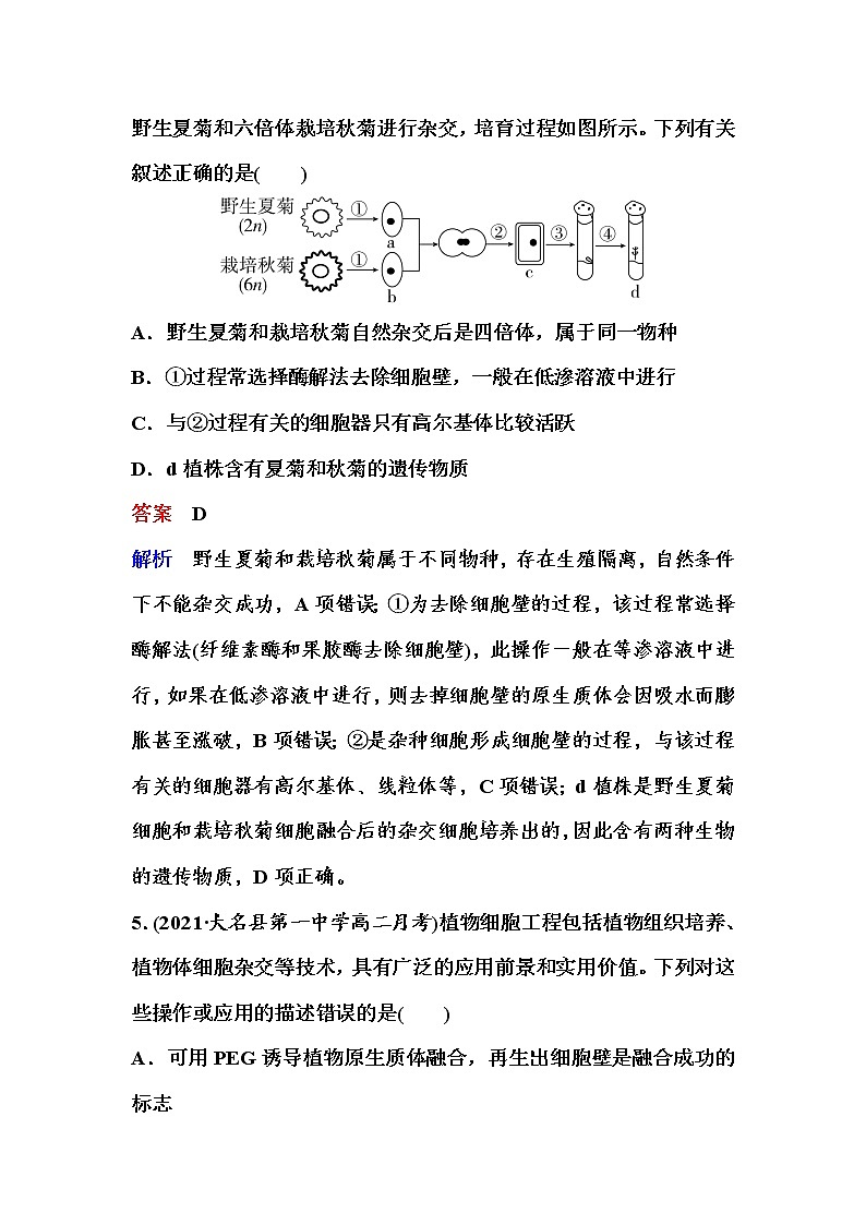 2021-2022学年高中生物新人教版选择性必修3 植物细胞工程的基本技术 作业第3页
