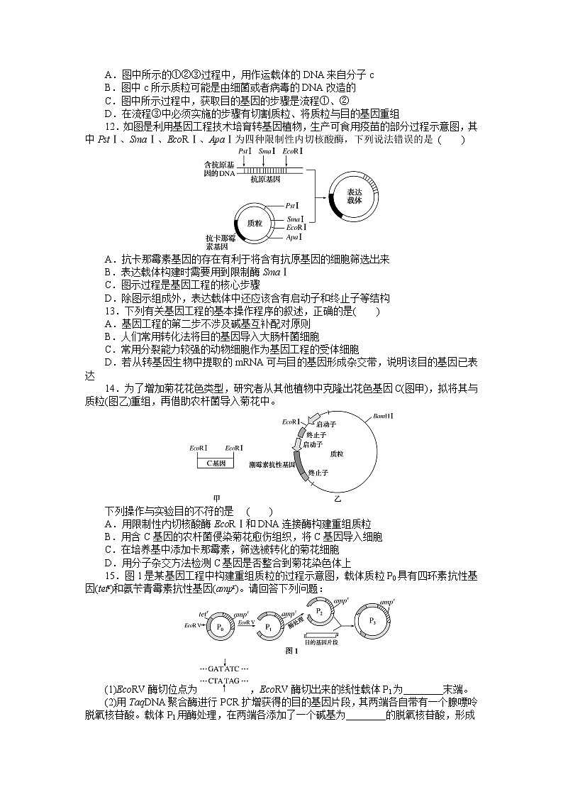 2021-2022学年高中生物新人教版选择性必修3 3.2 基因工程的基本操作程序 作业 练习03
