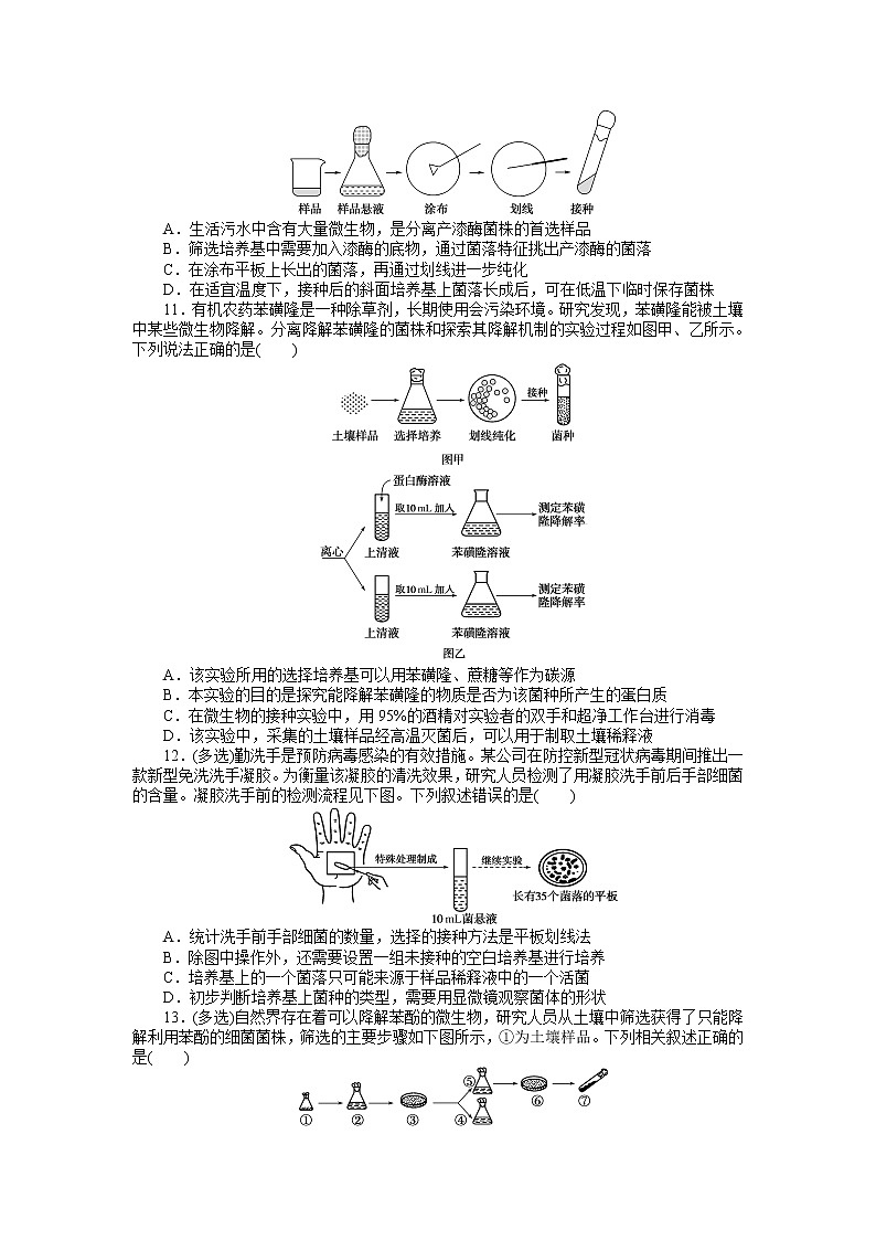 2021-2022学年高中生物新人教版选择性必修3 1.2.2 微生物的选择培养和计数 作业 练习03
