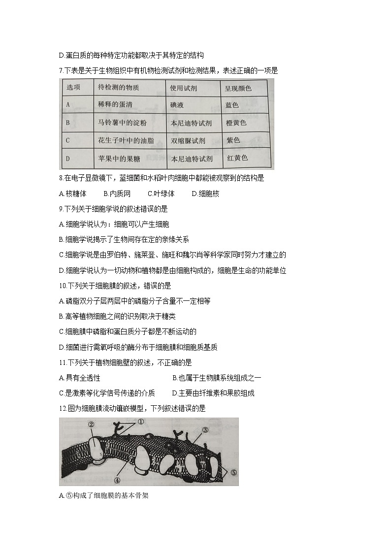 2021-2022学年浙江省“七彩阳光”新高考研究联盟高一上学期11月期中联考生物含答案练习题02