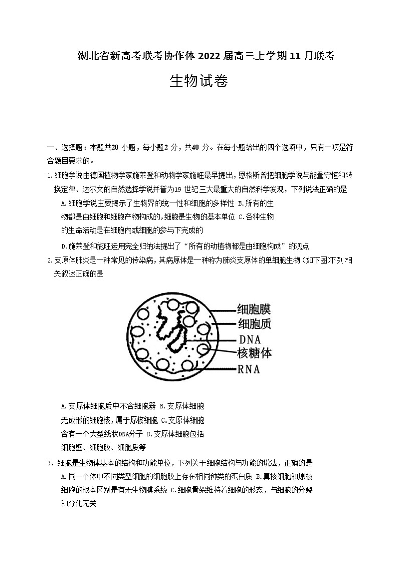 2022届湖北省新高考联考协作体高三上学期11月联考生物试卷含解析01