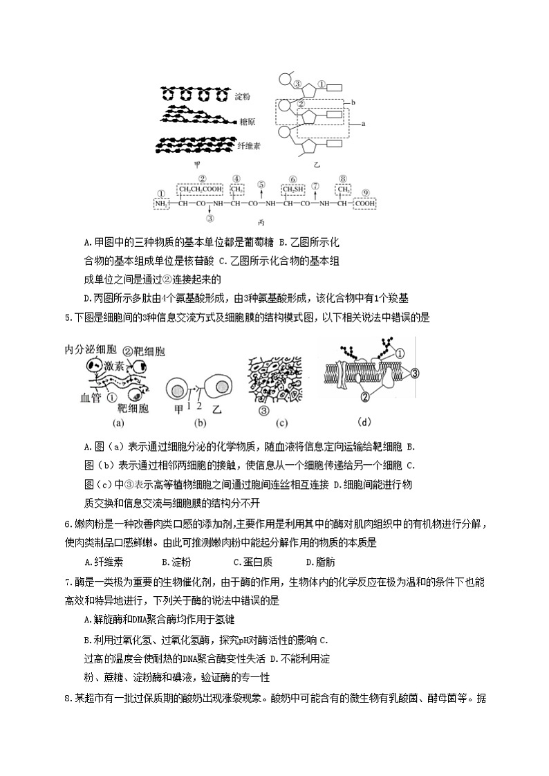 2022届湖北省新高考联考协作体高三上学期11月联考生物试卷含解析03