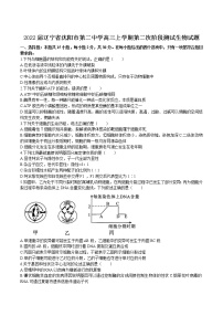 2022届辽宁省沈阳市第二中学高三上学期第二次阶段测试生物试题含答案