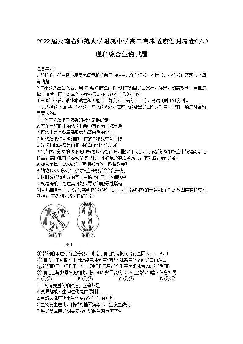 2022届云南省师范大学附属中学高三高考适应性月考卷（六）理科综合生物试题含答案第1页