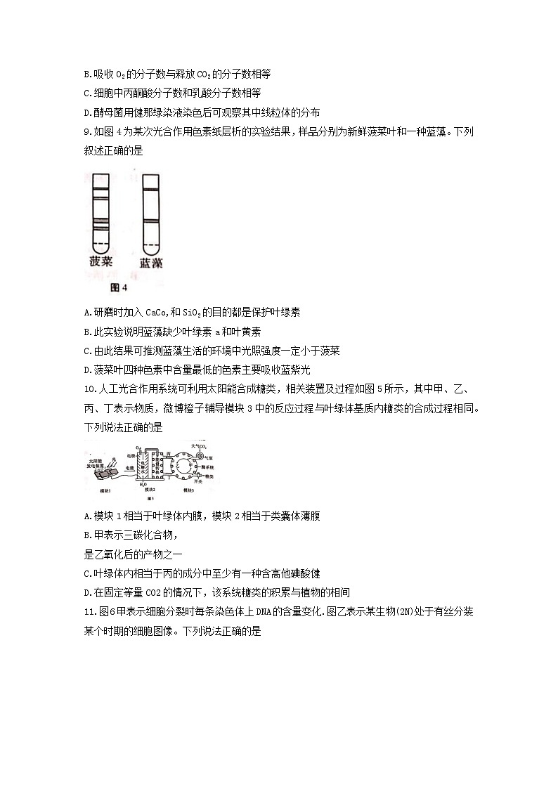 2022届重庆市巴蜀中学高三上学期9月高考适应性月考（二）生物试题含答案第3页