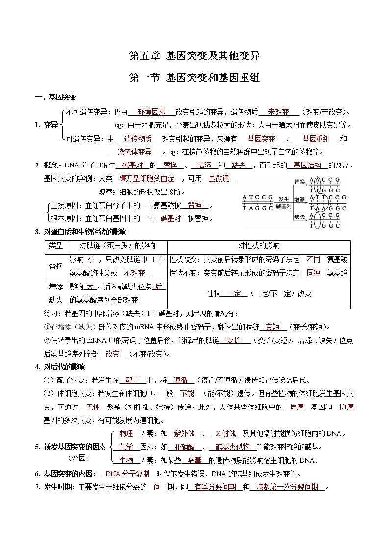 第五章 基因突变及其他变异（教师版）必背知识 高中生物新人教版必修2（2022年）第1页