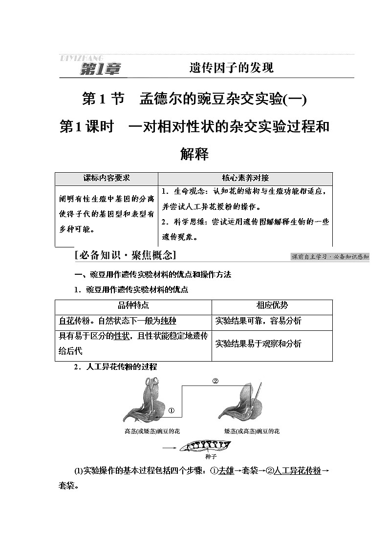 2021-2022学年高中生物新人教版必修第二册 第1章 第1节 第1课时 一对相对性状的杂交实验过程和解释 学案01
