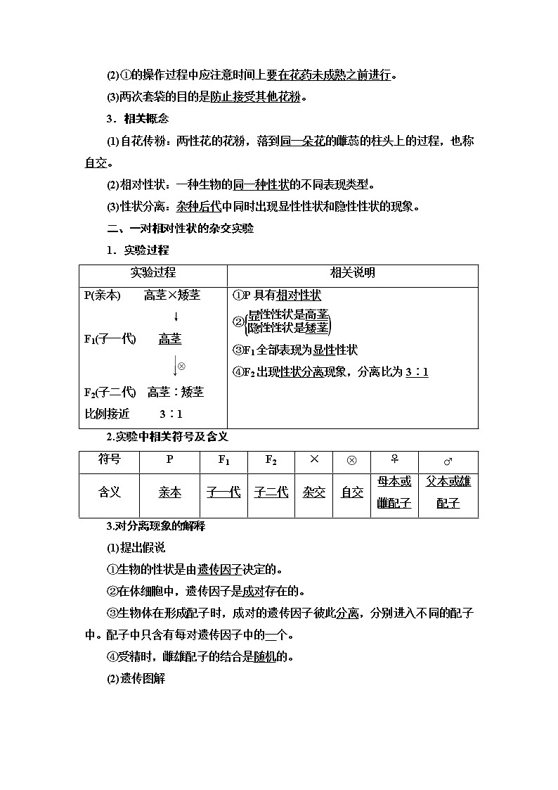 2021-2022学年高中生物新人教版必修第二册 第1章 第1节 第1课时 一对相对性状的杂交实验过程和解释 学案02