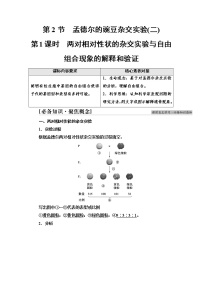 高中人教版 (2019)第2节 孟德尔的豌豆杂交实验（二）第1课时学案
