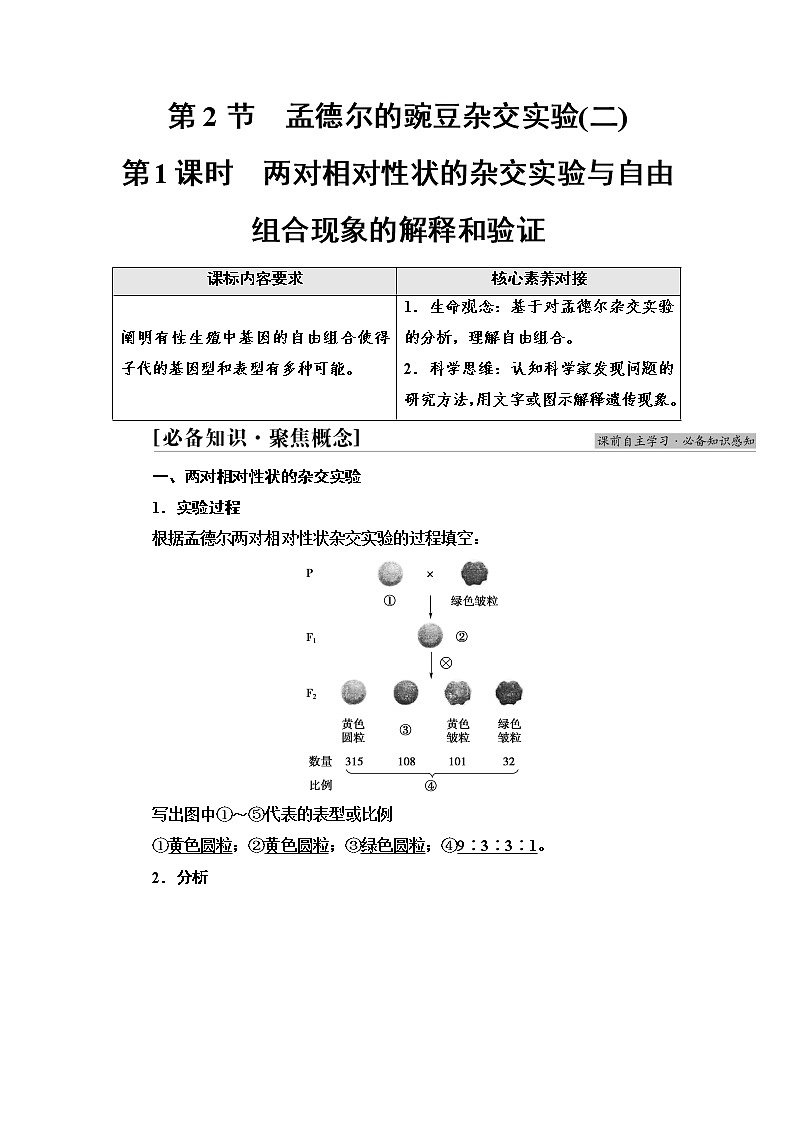2021-2022学年高中生物新人教版必修第二册 第1章 第2节 第1课时 两对相对性状的杂交实验与自由组合现象的解释和验证 学案01