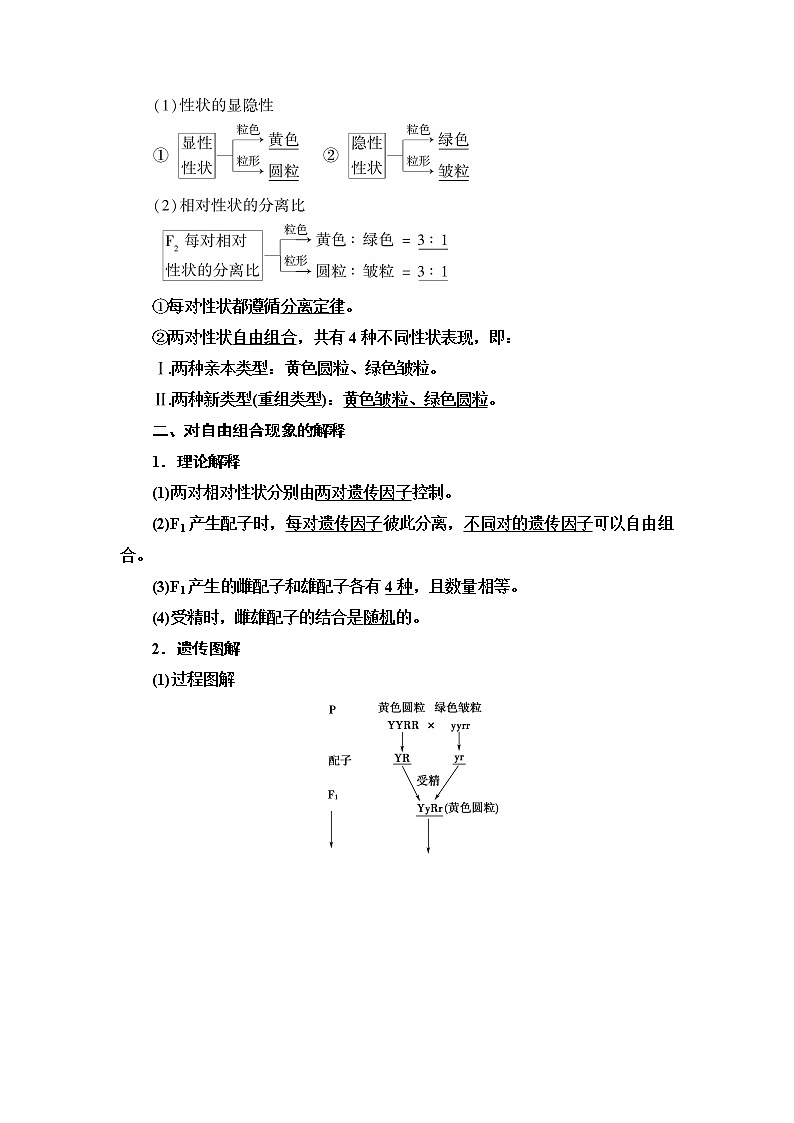 2021-2022学年高中生物新人教版必修第二册 第1章 第2节 第1课时 两对相对性状的杂交实验与自由组合现象的解释和验证 学案02