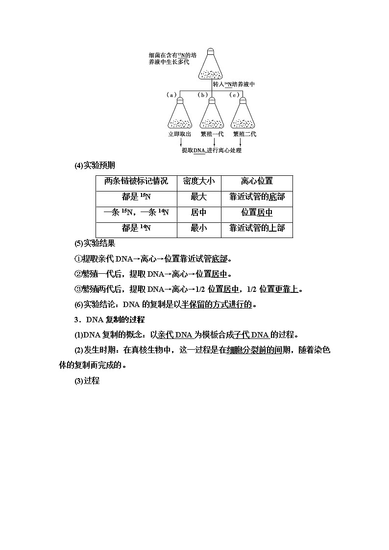 2021-2022学年高中生物新人教版必修第二册 第3章 第3、4节 DNA的复制、基因通常是有遗传效应的DNA片段 学案02
