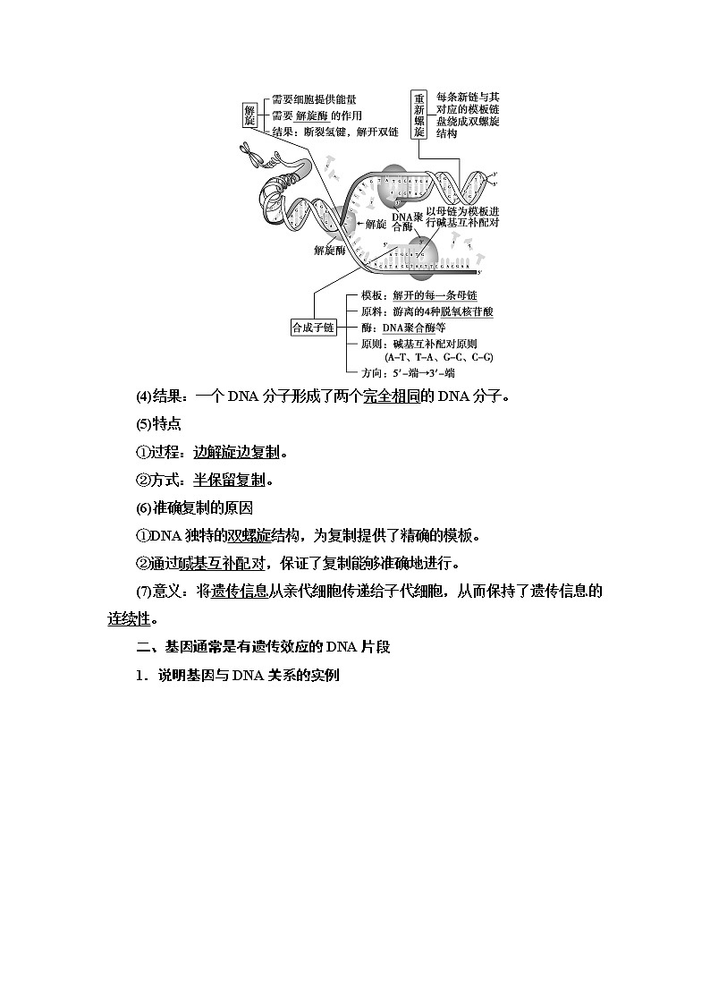 2021-2022学年高中生物新人教版必修第二册 第3章 第3、4节 DNA的复制、基因通常是有遗传效应的DNA片段 学案03