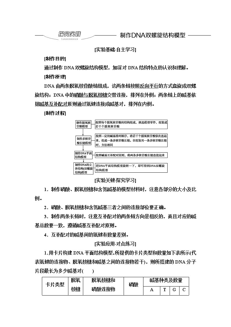 2021-2022学年高中生物新人教版必修第二册 第3章 第2节 探究实践 制作DNA双螺旋结构模型 学案01