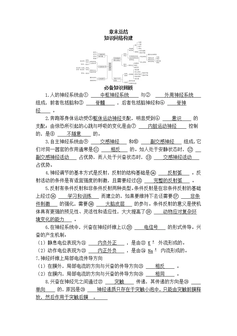 2021-2022学年新人教版生物选择性必修1 第2章 神经调节 章末总结 学案第1页