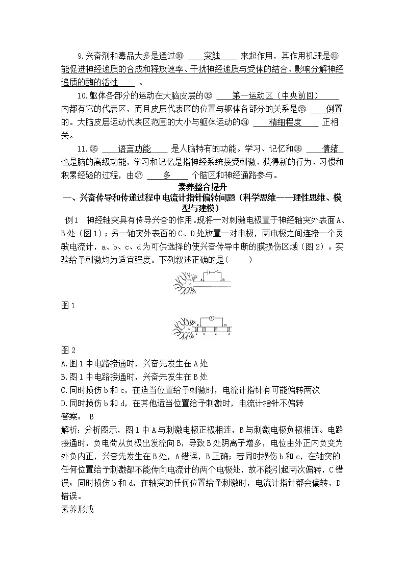 2021-2022学年新人教版生物选择性必修1 第2章 神经调节 章末总结 学案第2页