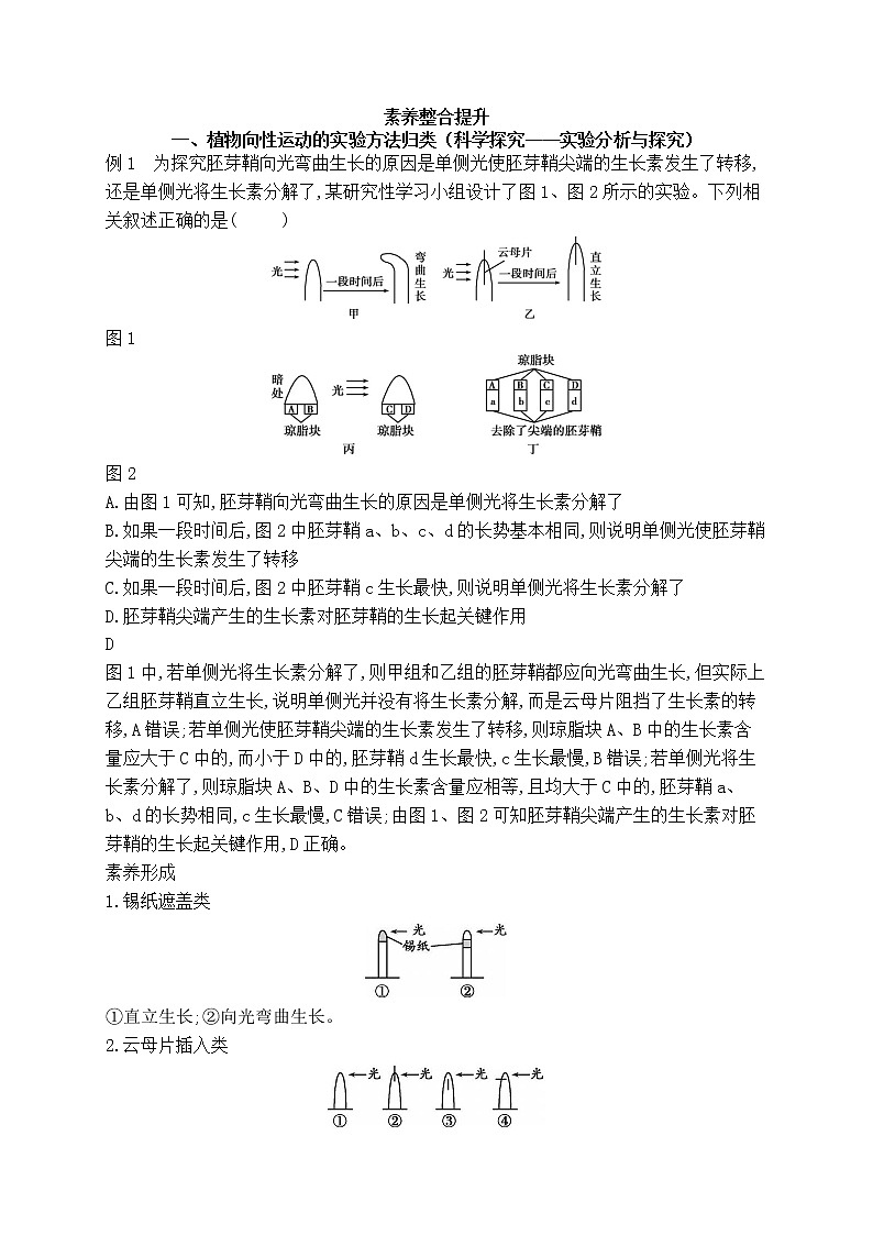 2021-2022学年新人教版生物选择性必修1 第5章 植物生命活动的调节 章末总结 学案03