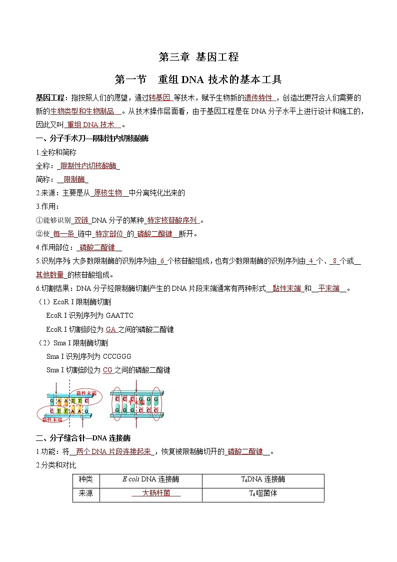 第三章  基因工程（教师版）必背知识 高中生物新人教版选择性必修3（2022年）第1页