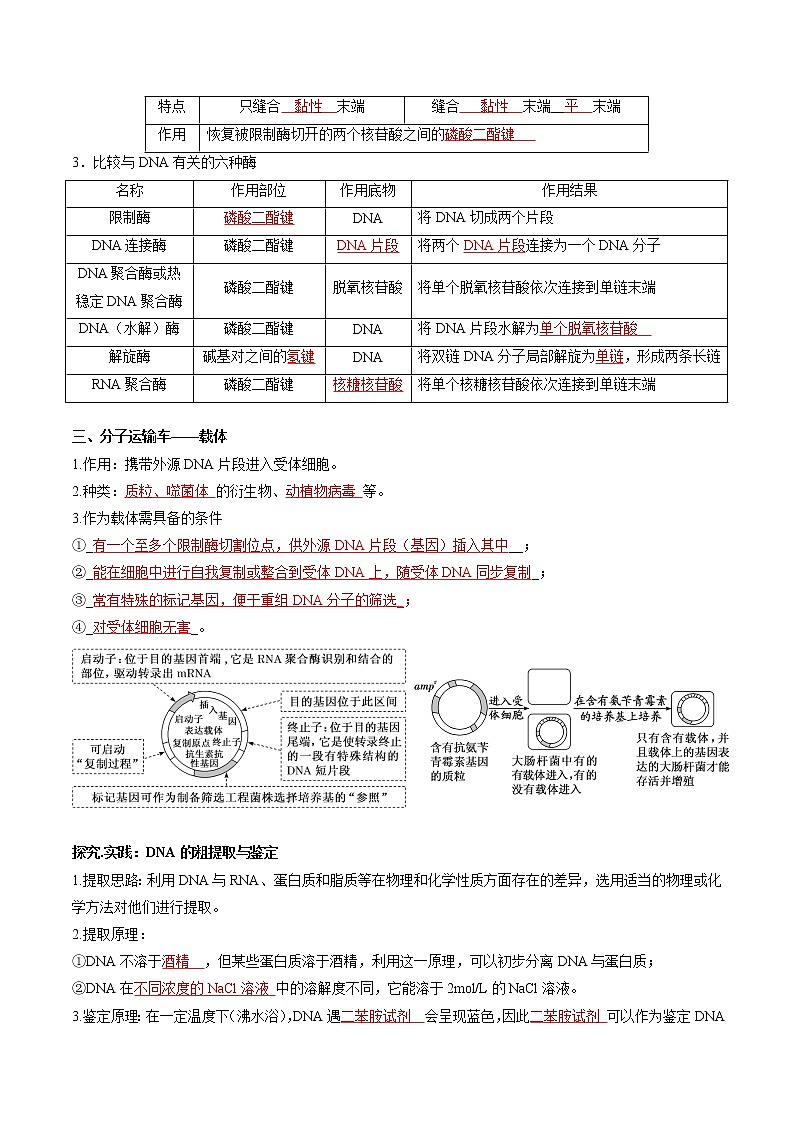 第三章  基因工程（教师版）必背知识 高中生物新人教版选择性必修3（2022年）第2页