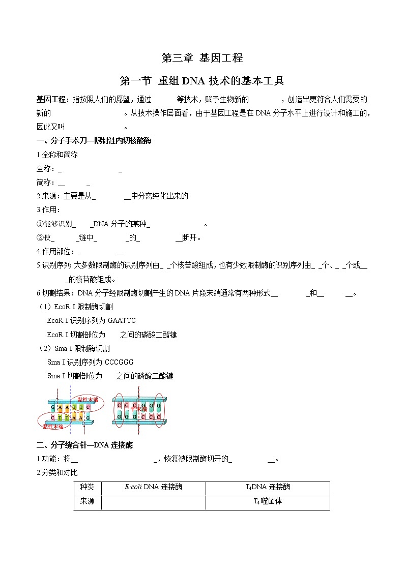 第三章  基因工程（填空版）必背知识 高中生物新人教版选择性必修3（2022年）第1页