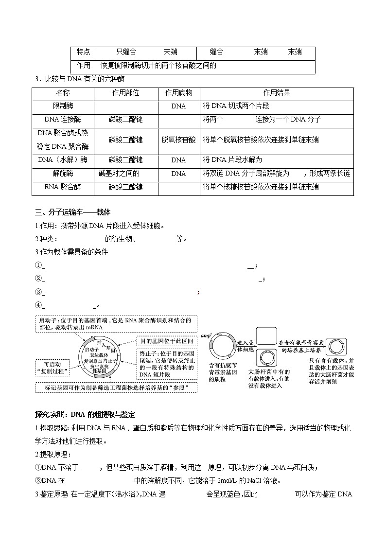 第三章  基因工程（填空版）必背知识 高中生物新人教版选择性必修3（2022年）第2页