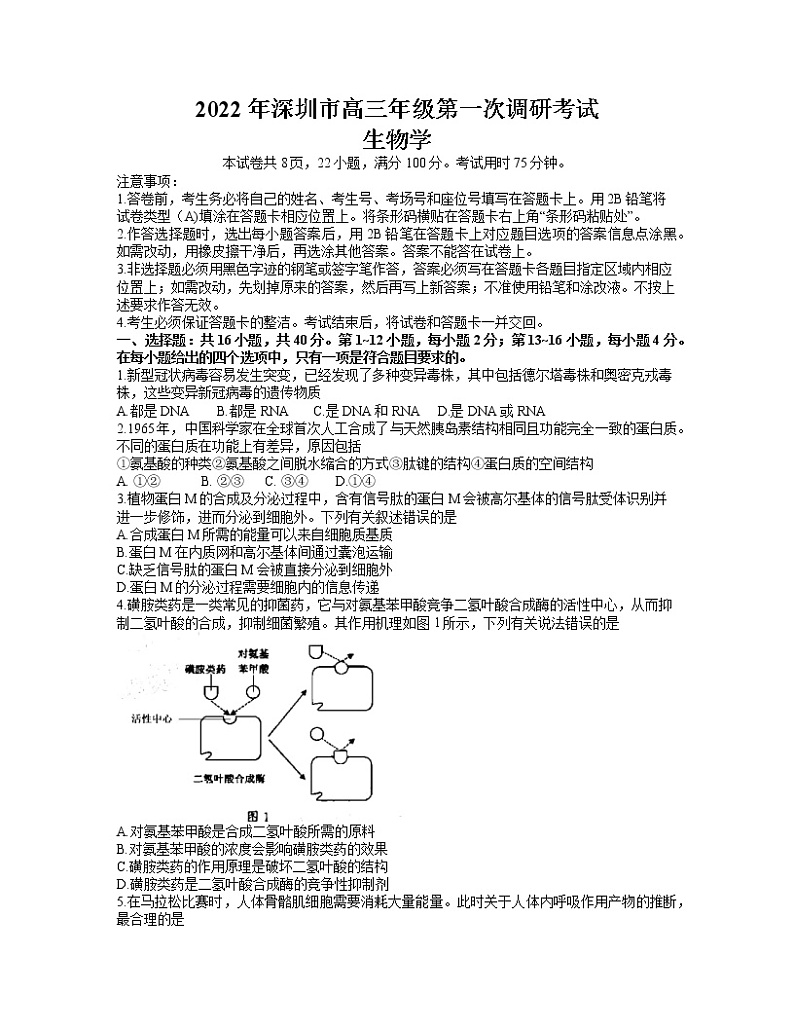广东省深圳市2022届高三下学期第一次调研考试（一模）生物试卷含答案第1页