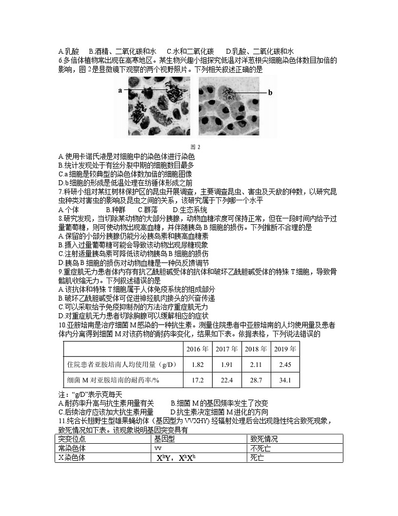 广东省深圳市2022届高三下学期第一次调研考试（一模）生物试卷含答案第2页