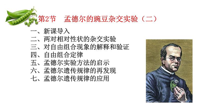 1.2 孟德尔的豌豆杂交实验（二）-2021-2022学年高一下学期生物同步考点精讲精练（人教版2019必修2）课件PPT01