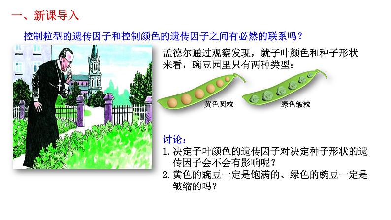 1.2 孟德尔的豌豆杂交实验（二）-2021-2022学年高一下学期生物同步考点精讲精练（人教版2019必修2）课件PPT02