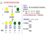 1.2 孟德尔的豌豆杂交实验（二）-2021-2022学年高一下学期生物同步考点精讲精练（人教版2019必修2）课件PPT