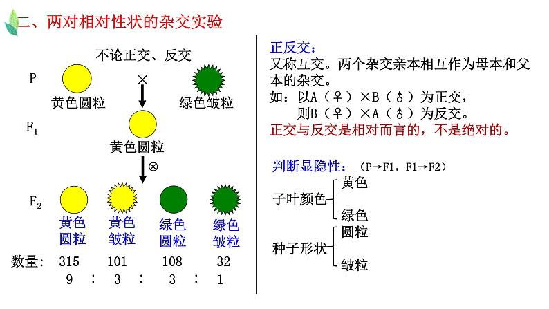 1.2 孟德尔的豌豆杂交实验（二）-2021-2022学年高一下学期生物同步考点精讲精练（人教版2019必修2）课件PPT03