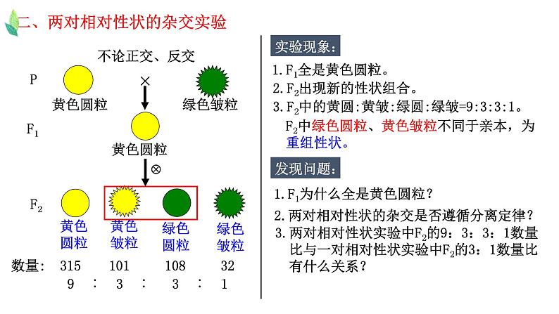 1.2 孟德尔的豌豆杂交实验（二）-2021-2022学年高一下学期生物同步考点精讲精练（人教版2019必修2）课件PPT04