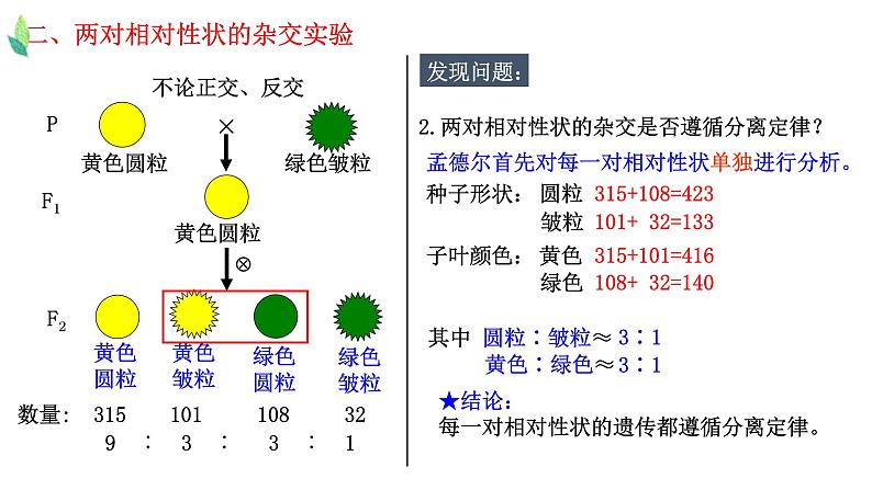 1.2 孟德尔的豌豆杂交实验（二）-2021-2022学年高一下学期生物同步考点精讲精练（人教版2019必修2）课件PPT05