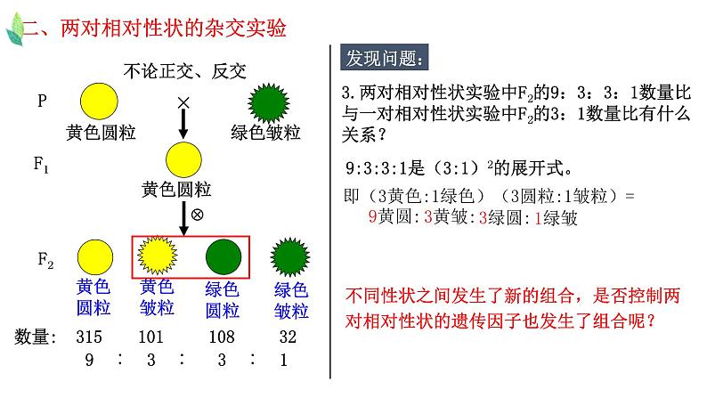 1.2 孟德尔的豌豆杂交实验（二）-2021-2022学年高一下学期生物同步考点精讲精练（人教版2019必修2）课件PPT06