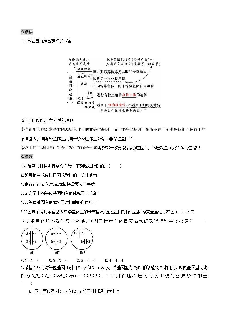 1.2 孟德尔的豌豆杂交实验（二）-2021-2022学年高一下学期生物同步考点精讲精练（人教版2019必修2）课件PPT03