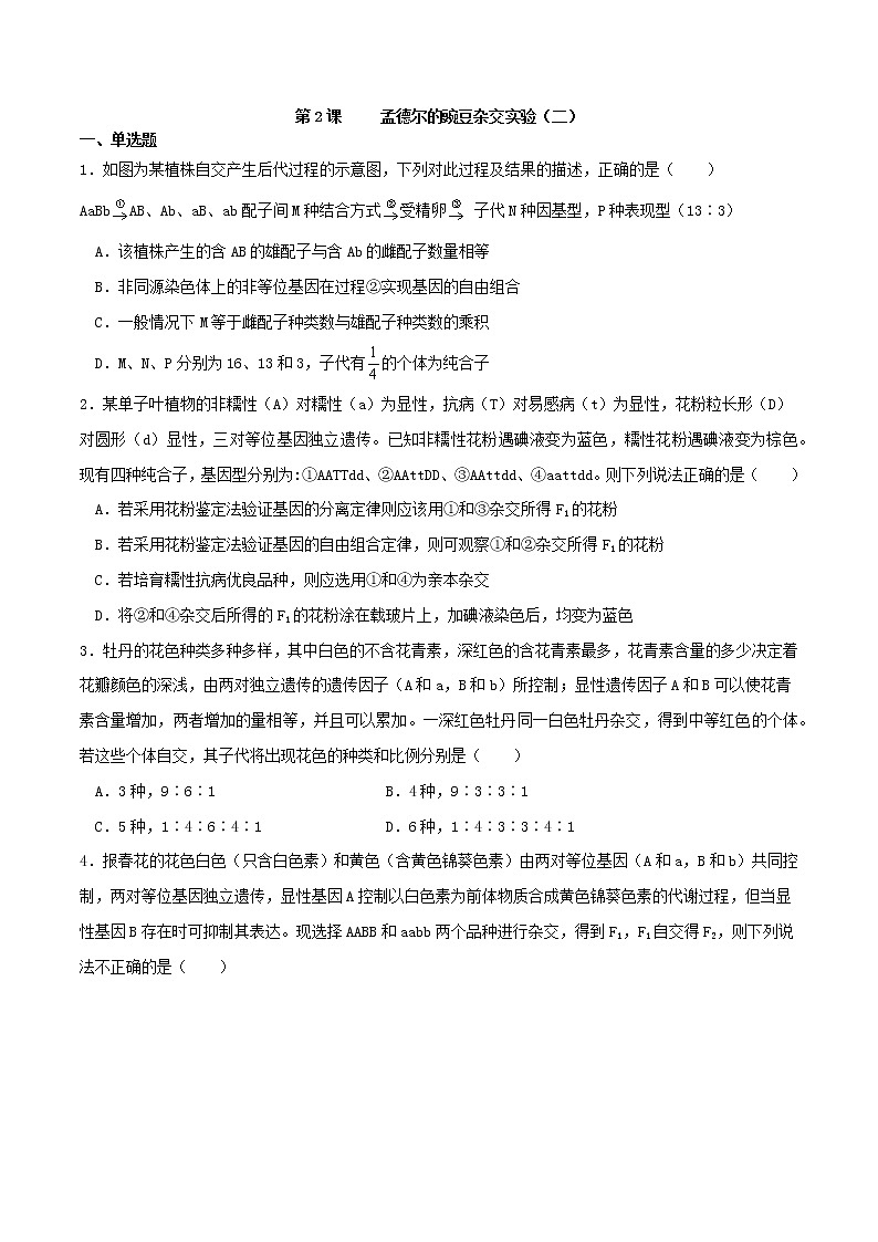 1.2 孟德尔的豌豆杂交实验（二）-2021-2022学年高一下学期生物同步考点精讲精练（人教版2019必修2）课件PPT01