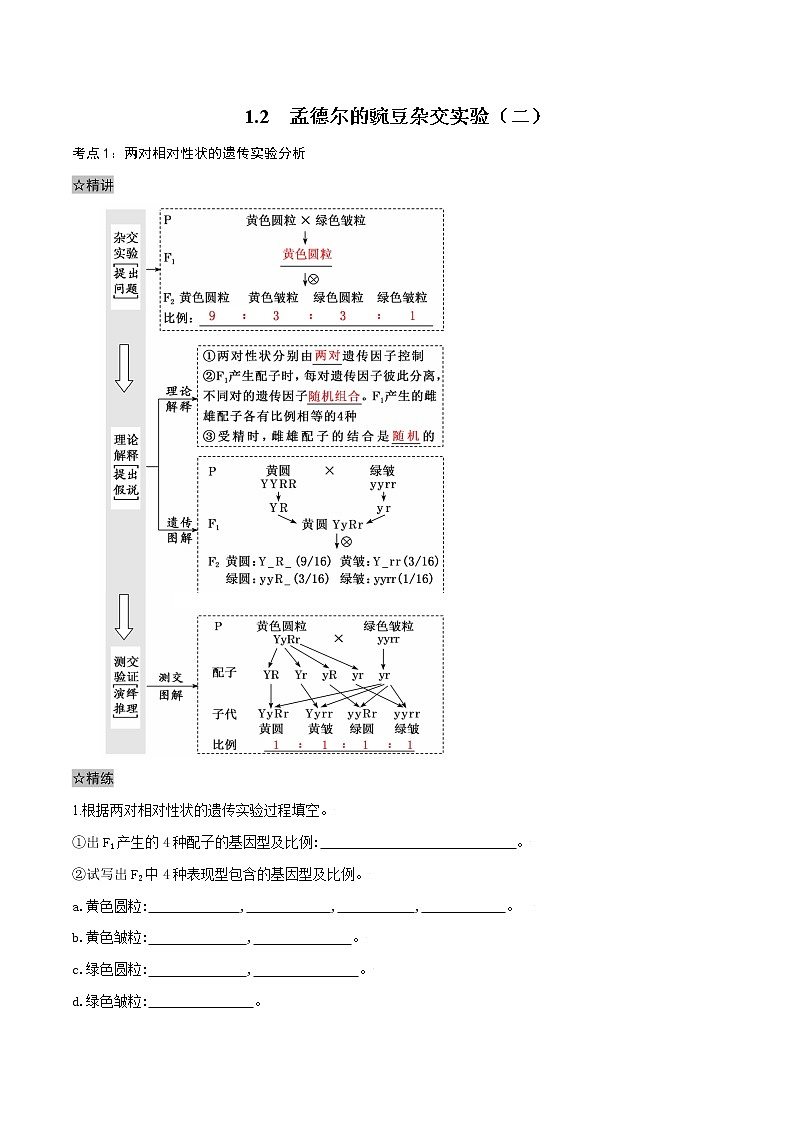 1.2 孟德尔的豌豆杂交实验（二）-2021-2022学年高一下学期生物同步考点精讲精练（人教版2019必修2）课件PPT01