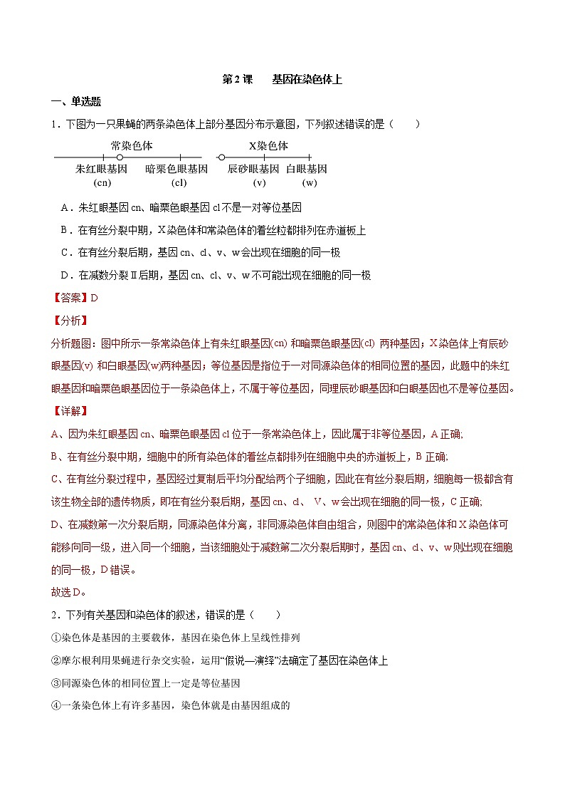 2.2  基因在染色体上（习题精练）-2021-2022学年高一生物同步课件精讲+习题精练（人教版2019必修2）（解析版）第1页