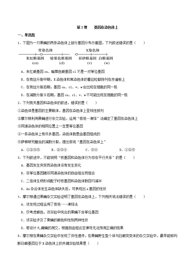 2.2  基因在染色体上（习题精练）-2021-2022学年高一生物同步课件精讲+习题精练（人教版2019必修2）（原卷版）第1页